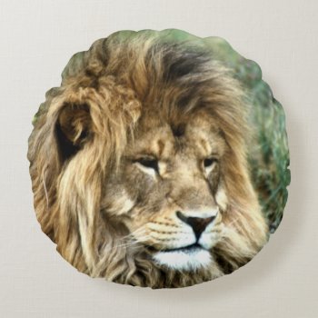 African Lion Round Pillow by Artnmore at Zazzle