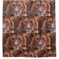 African Lion