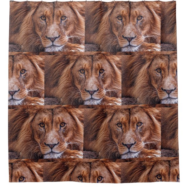 African Lion Shower Curtain (Front)