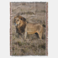 African Lion Throw Blanket