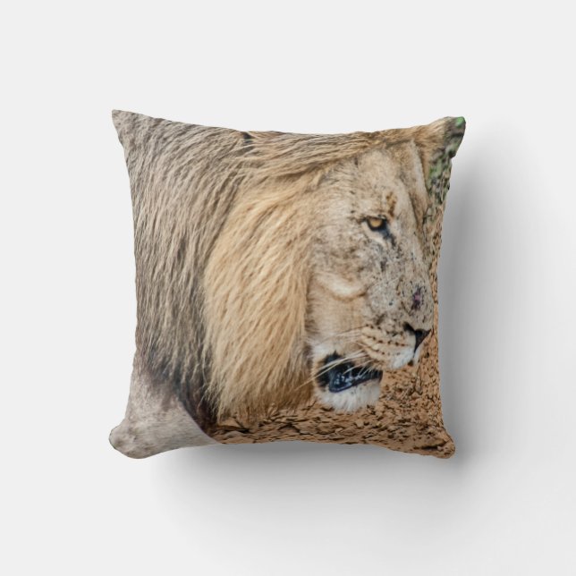 African Lion Throw Pillow (Front)