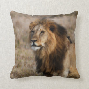 African Lion Throw Pillow