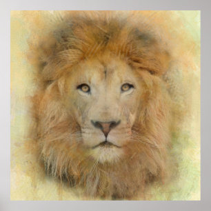 African Lion Wildlife Watercolor Portrait Poster