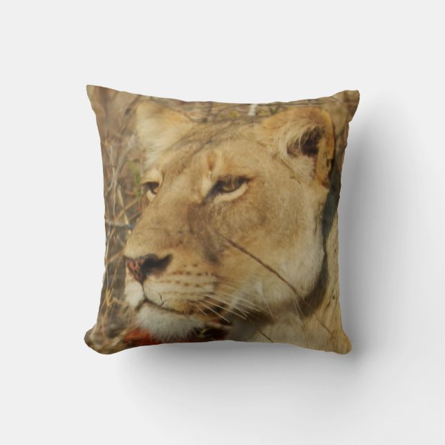 African Lioness Pillow (Front)