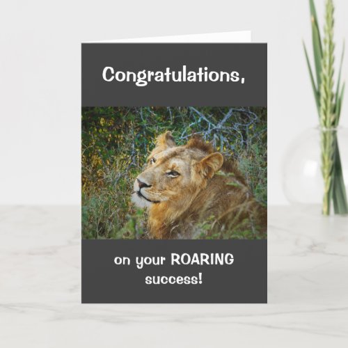 African male lion congratulations roaring success card