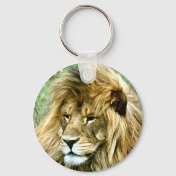 African Male Lion Keychain by Artnmore at Zazzle