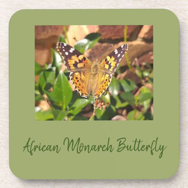African Monarch Butterfly Beverage Coaster (Front)