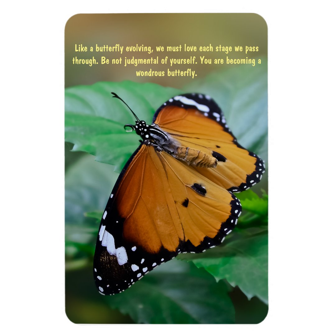 African monarch butterfly inspiration quote magnet | Zazzle