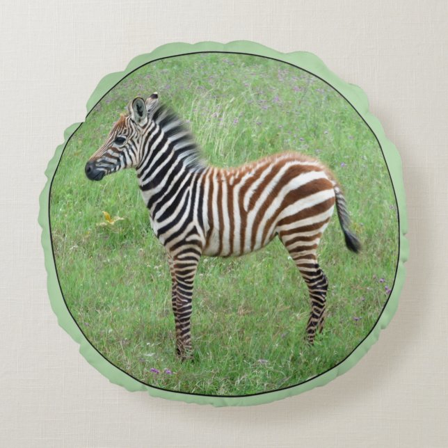 African Ngorongoro Baby Zebra Round Pillow (Front)