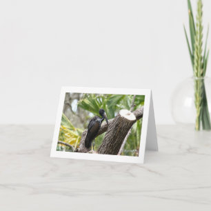 African Open-Billed Stork Folded Note Card