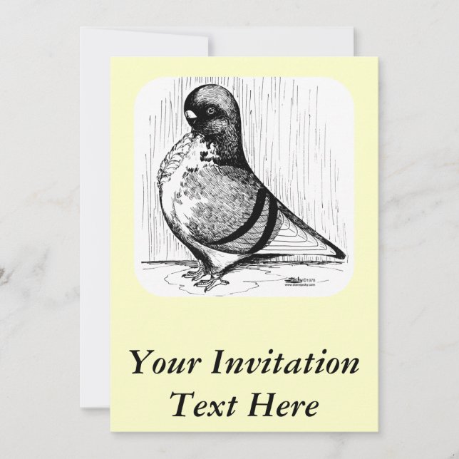 African Owl Pigeon 1978 Invitation (Front)