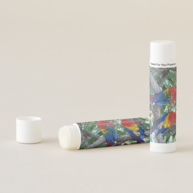 African Parrot Lip Balm (In Situ)