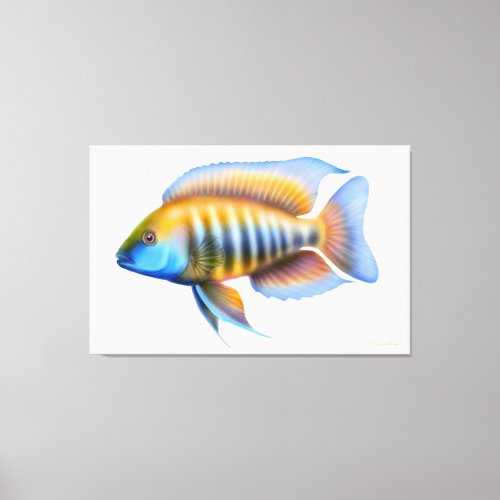 African Peacock Cichlid Fish Wrapped Canvas