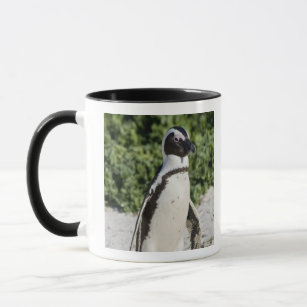 African Penguin, formerly known as Jackass Mug