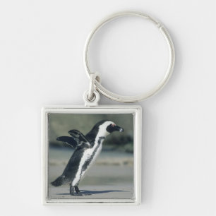 African Penguin Keychain