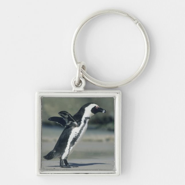 African Penguin Keychain (Front)