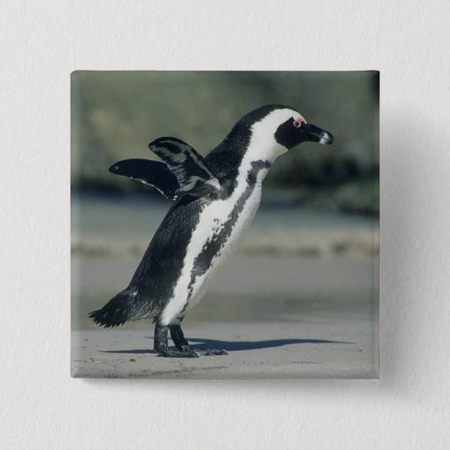 African Penguin Pinback Button (Front)