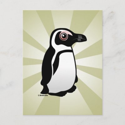 African Penguin Postcard