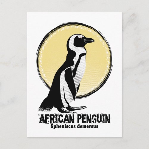 African penguin postcard