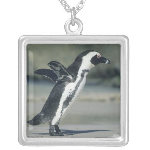 African Penguin Silver Plated Necklace