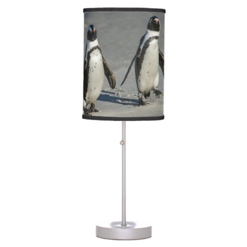 African penguin Spheniscus demersus2 Table Lamp