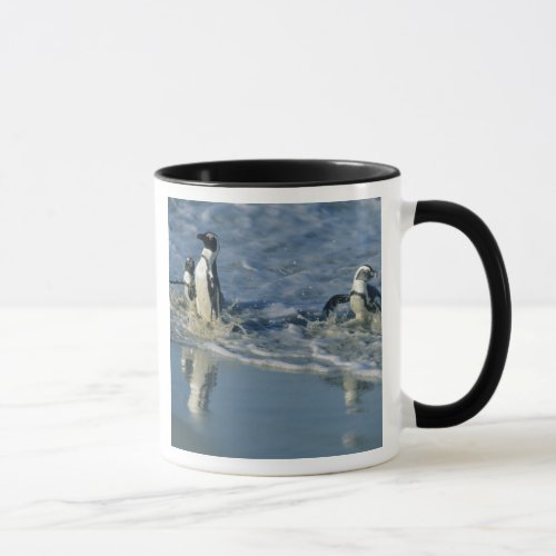 African Penguin Spheniscus demersus coming 2 Mug