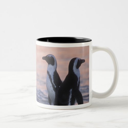 African Penguin Spheniscus demersus or Jackass 3 Two_Tone Coffee Mug