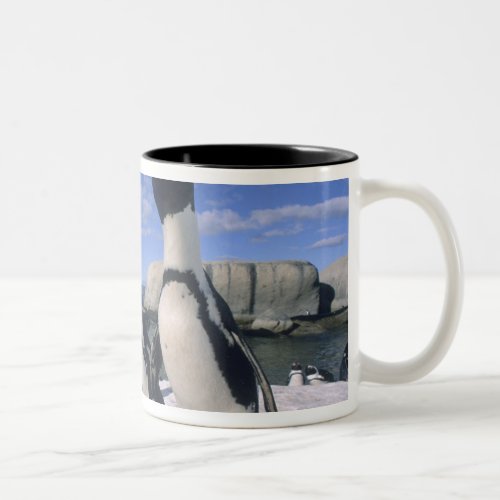 African Penguin Spheniscus demersus wild Two_Tone Coffee Mug
