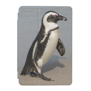 African Penguin Walking iPad Mini Cover
