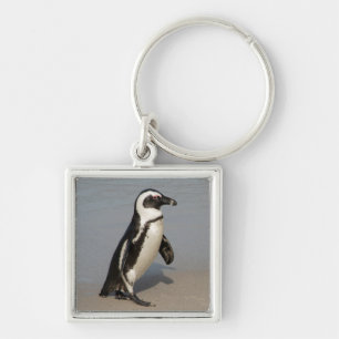 African Penguin Walking Keychain