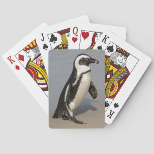 African Penguin Walking Poker Cards