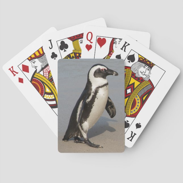African Penguin Walking Poker Cards (Back)