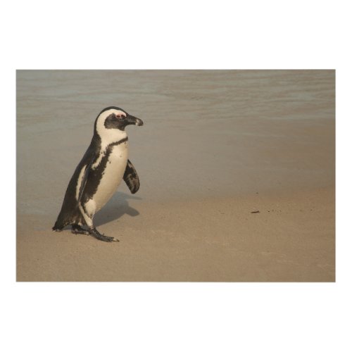 African Penguin Walking Wood Wall Decor