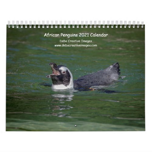 African Penguins 2021 Calendar