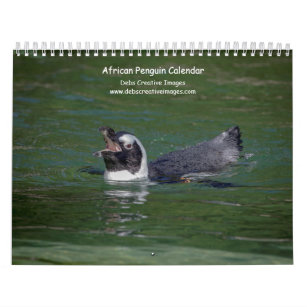 African Penguins 2024 Calendar