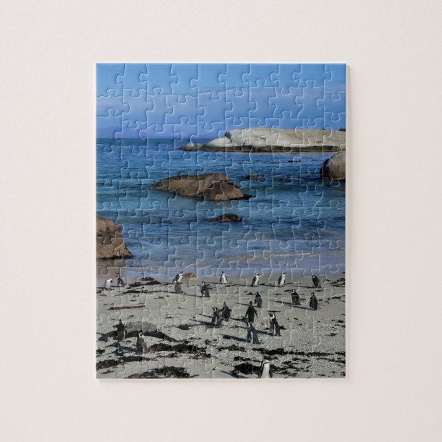 African Penguins at Boulders Beach, in Cape Town, Jigsaw Puzzle (Vertical)