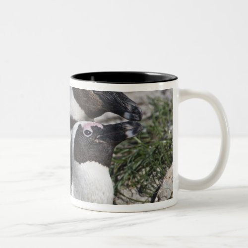 African Penguins formerly known as Jackass 2 Two_Tone Coffee Mug