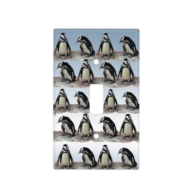 African Penguins Light Switch Cover (Front)
