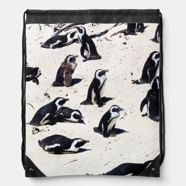 African Penguins on Boulders Beach Drawstring Bag (Front)