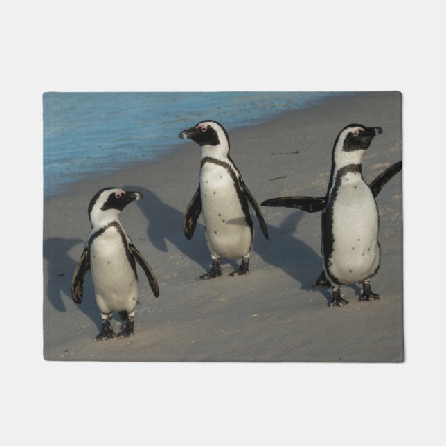 African Penguins | Spheniscus Demersus Doormat (Front)