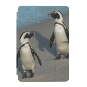 African Penguins Spheniscus Demersus iPad Mini Cover
