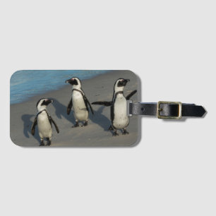 African Penguins Spheniscus Demersus Luggage Tag