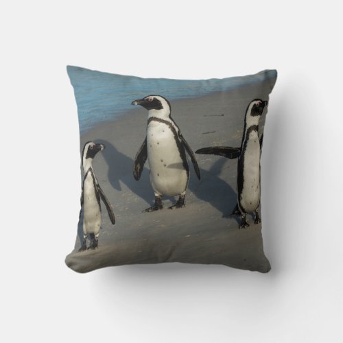 African Penguins  Spheniscus Demersus Throw Pillow