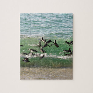 African penguins swimming at beach jigsaw puzzle