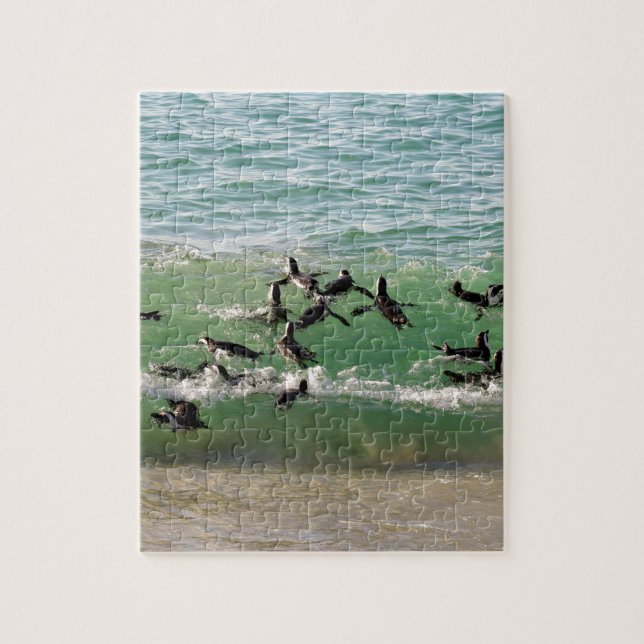 African penguins swimming at beach jigsaw puzzle (Vertical)
