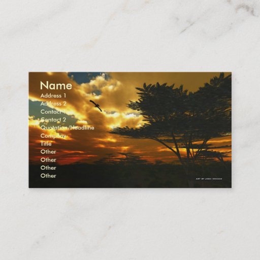 Customizable African Planes Business Card Template