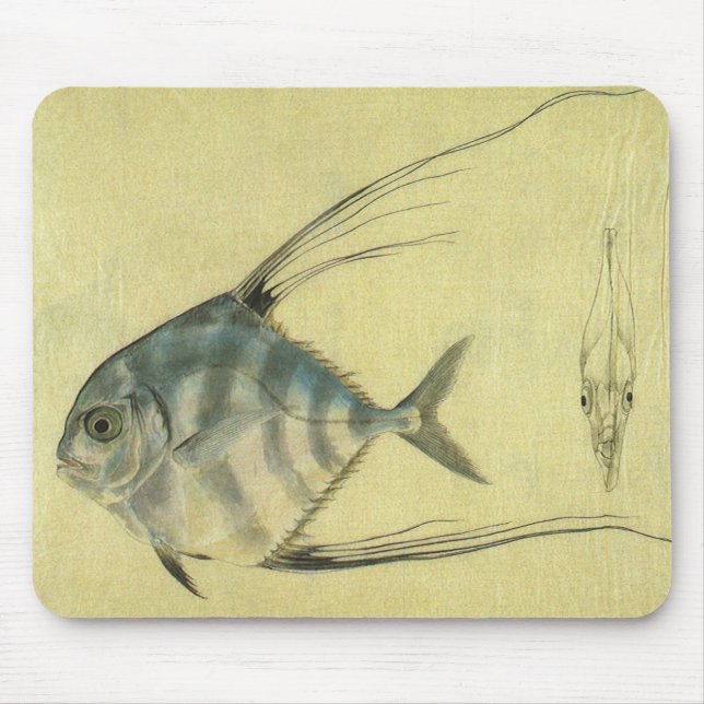 African Pompano Fish, Vintage Threadfin Trevally Mouse Pad (Front)