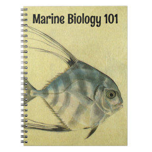 African Pompano Fish, Vintage Threadfin Trevally Notebook