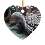 African Porcupine Ornaments