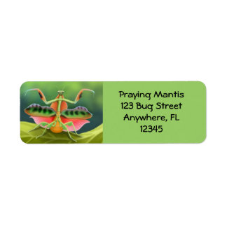 African Praying Mantis Label
